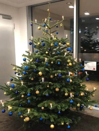 Christbaum-stellen-2-2020